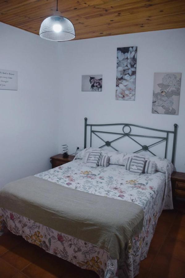 Apartamentos Loli Berga Exterior photo